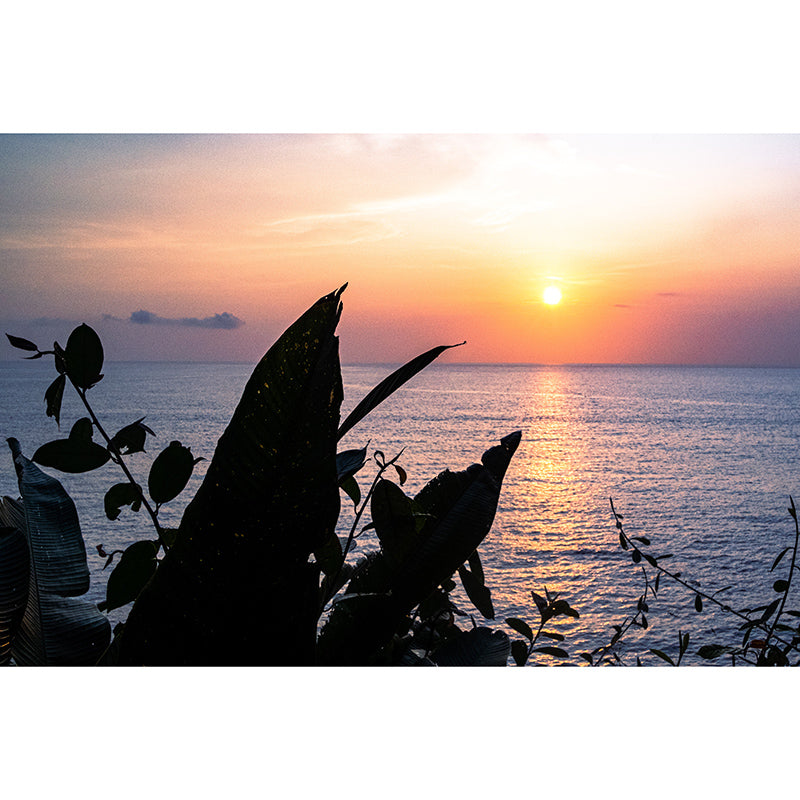 Tropical Scenery Modern Style Photography Wall Mural Wallpaper Bedroom Wall Mural