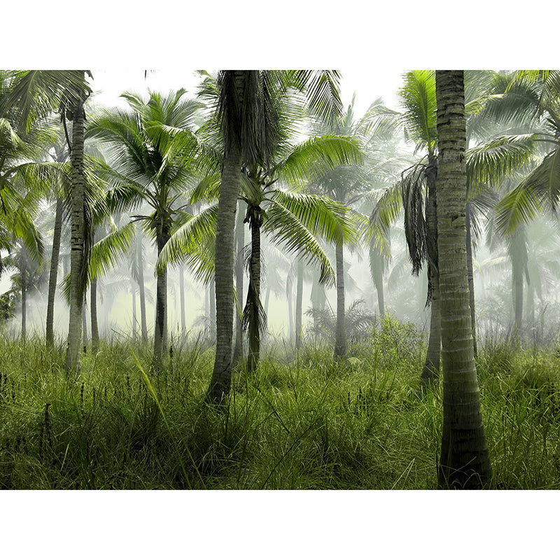 Washable Photography Mural Wallpaper Tropical Landscape Indoor Wall Mural