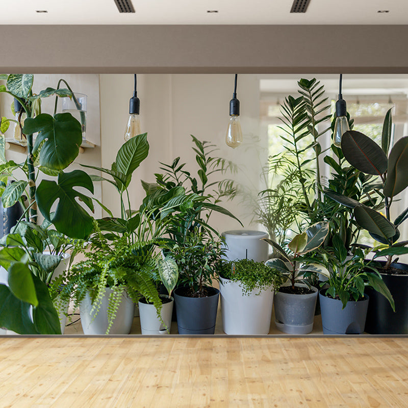 Photography Environment Friendly Mural Wallpaper Tropical Plants Bedroom Wall Mural