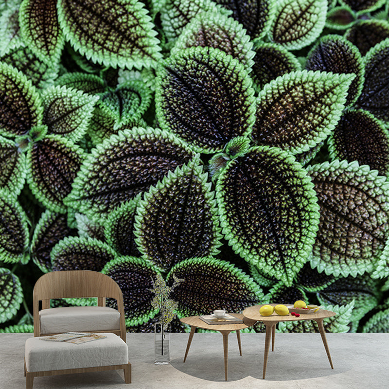 Tropical Plants Stain Resistant Wall Mural Washable Wallpaper Sitting Room Wall Mural