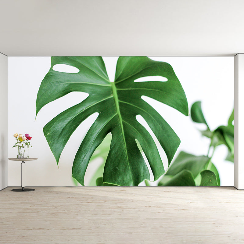 Beautiful Photography Mural Wallpaper Tropical Plants Decorative Indoor Wall Mural