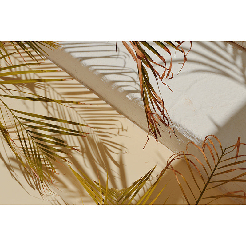 Beautiful Photography Mural Wallpaper Tropical Plants Decorative Indoor Wall Mural