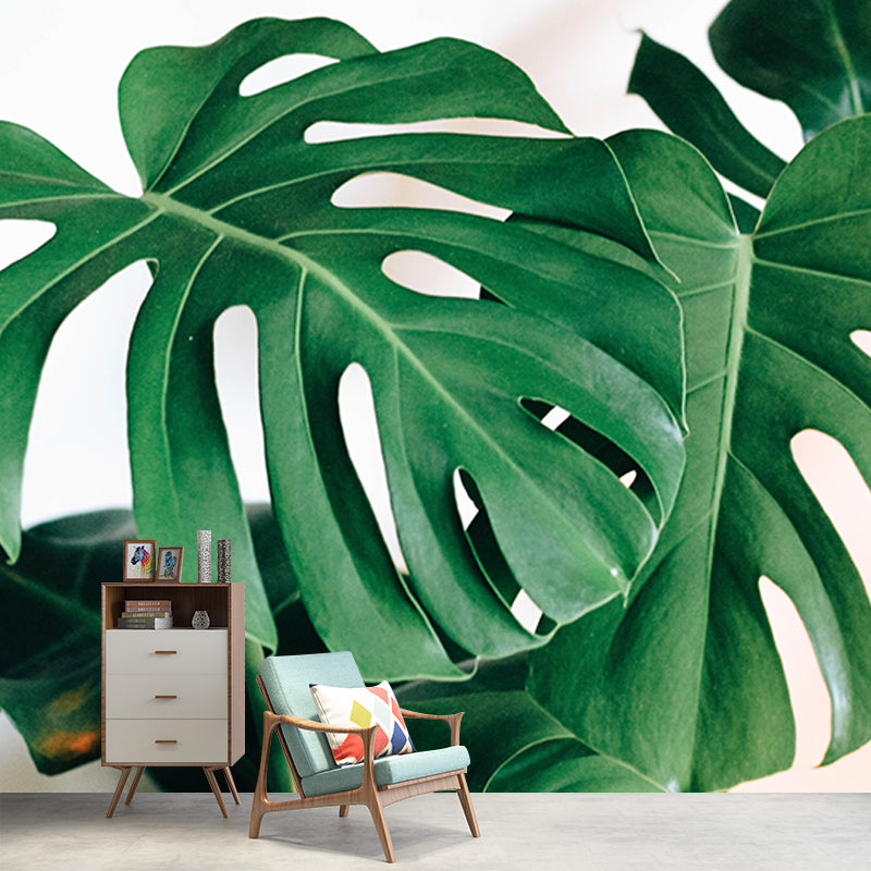 Tropical Plants Photography Stain Resistant Mural Wallpaper Living Room Wall Mural