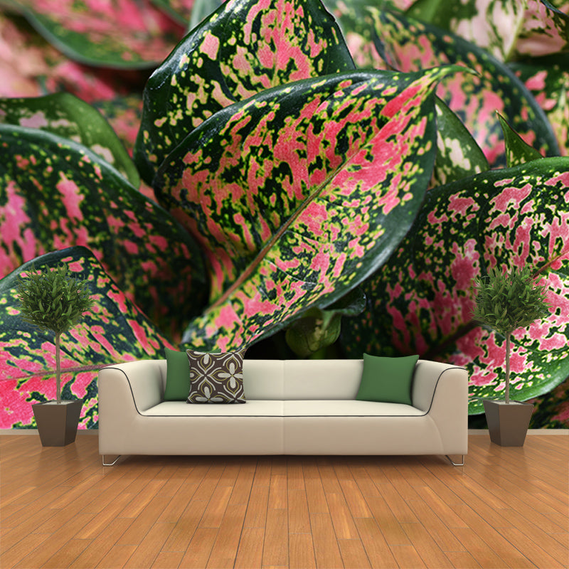 Tropical Plants Photography Stain Resistant Mural Wallpaper Living Room Wall Mural