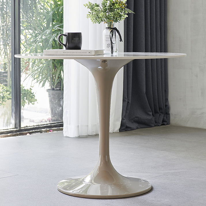 Modern 1/2/3/4/5 Pieces Dining Set Round Sintered Stone Dining Table Set