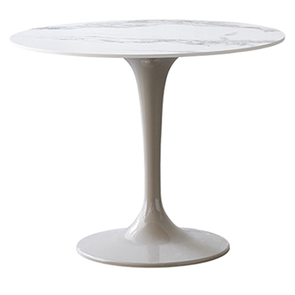 Modern 1/2/3/4/5 Pieces Dining Set Round Sintered Stone Dining Table Set