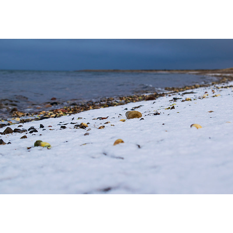 Sea Beach Mildew Resistant Mural Wallpaper Indoor Wall Mural