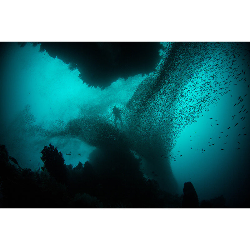 Decorative Wall Mural Wallpaper Underwater Sitting Room Wall Mural