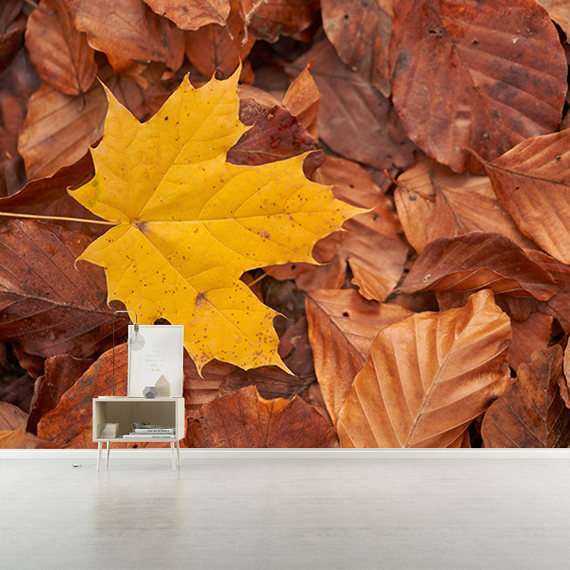 Washable Photography Mural Wallpaper Plants Landscape Indoor Wall Mural