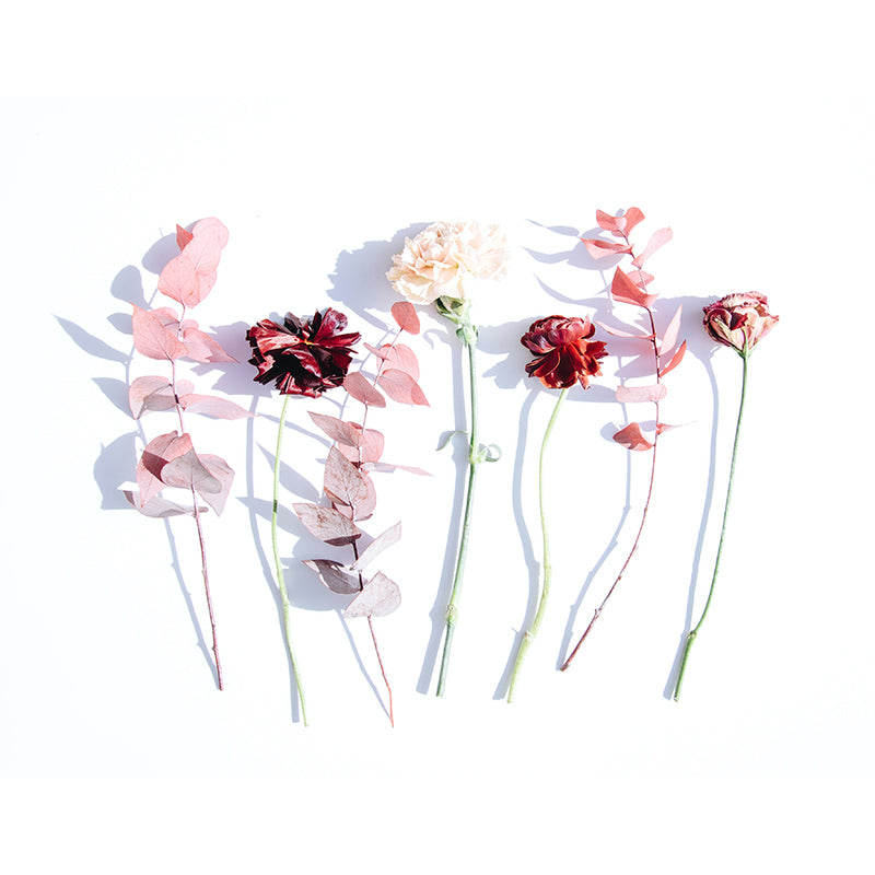 Beautiful Photography Mural Wallpaper Plants Decorative Indoor Wall Mural