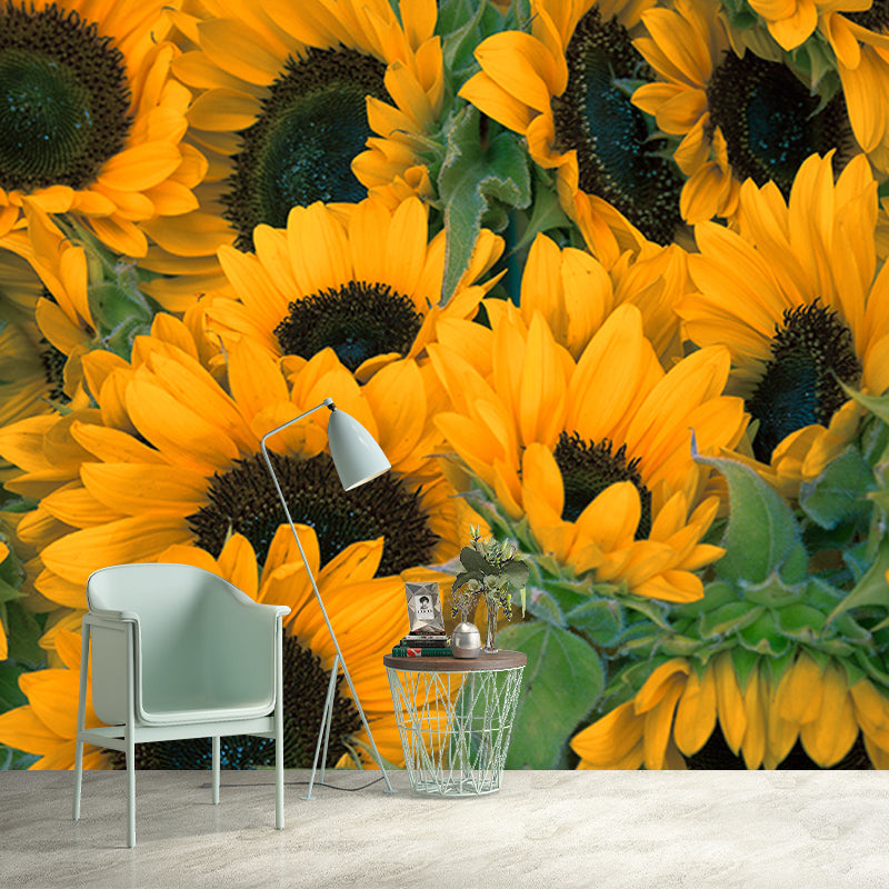 Beautiful Photography Mural Wallpaper Plants Decorative Indoor Wall Mural