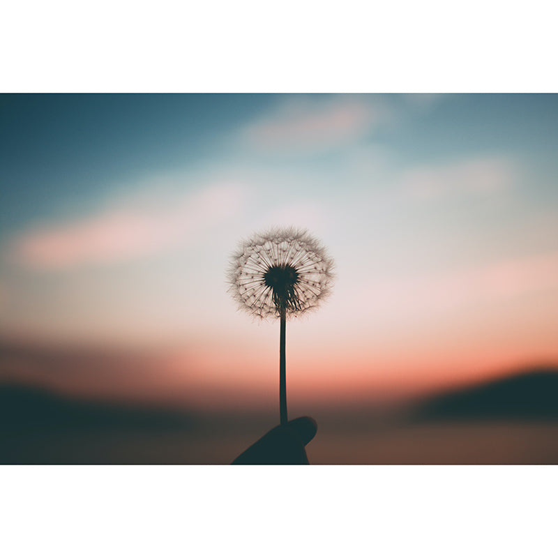 Photography Stain Resistant Mural Wallpaper Plants Living Room Wall Mural