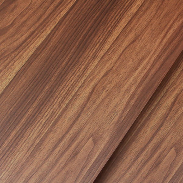 Modern Closed Back Bookshelf Manufactured Wood Vertical Bookcase for Home