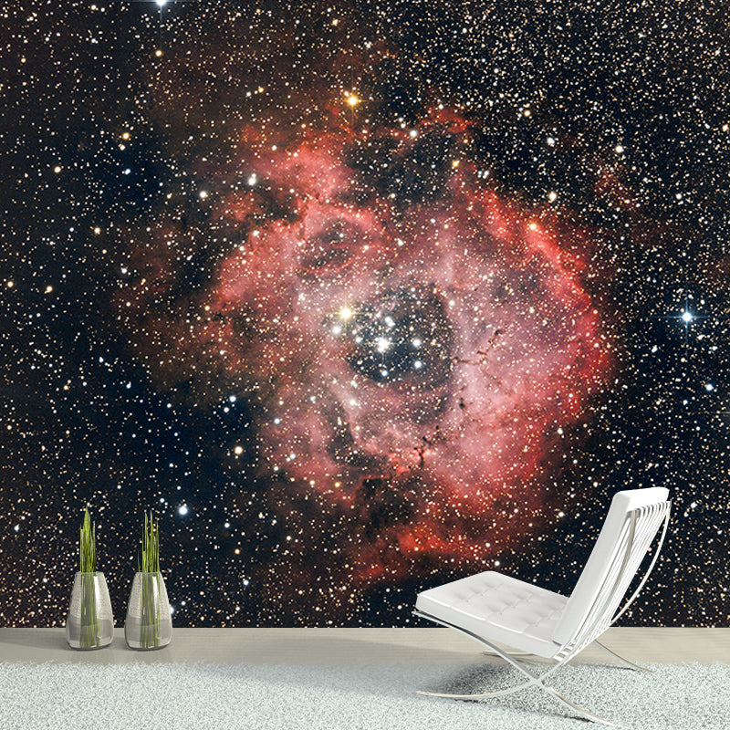 Modern Photography Mural Wallpaper Cosmos Living Room Wall Mural