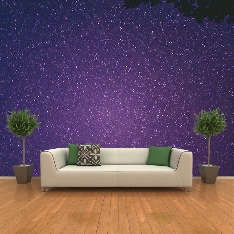 Environmental Photography Mural Wallpaper Cosmos Indoor Wall Mural
