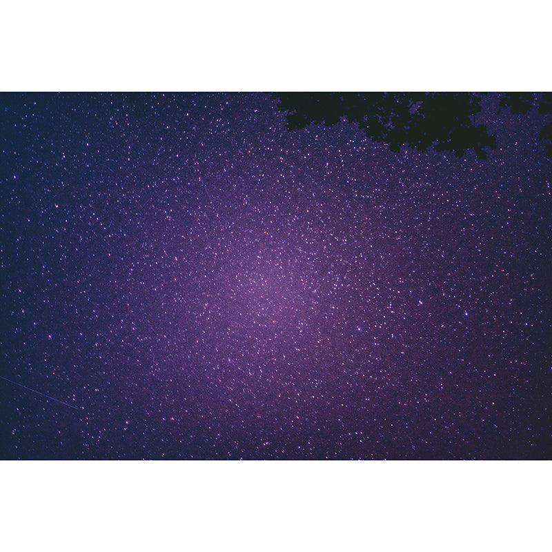 Environmental Photography Mural Wallpaper Cosmos Indoor Wall Mural