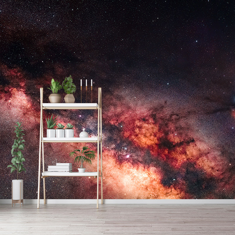 Photography Stain Resistant Wallpaper Cosmos Living Room Wall Mural