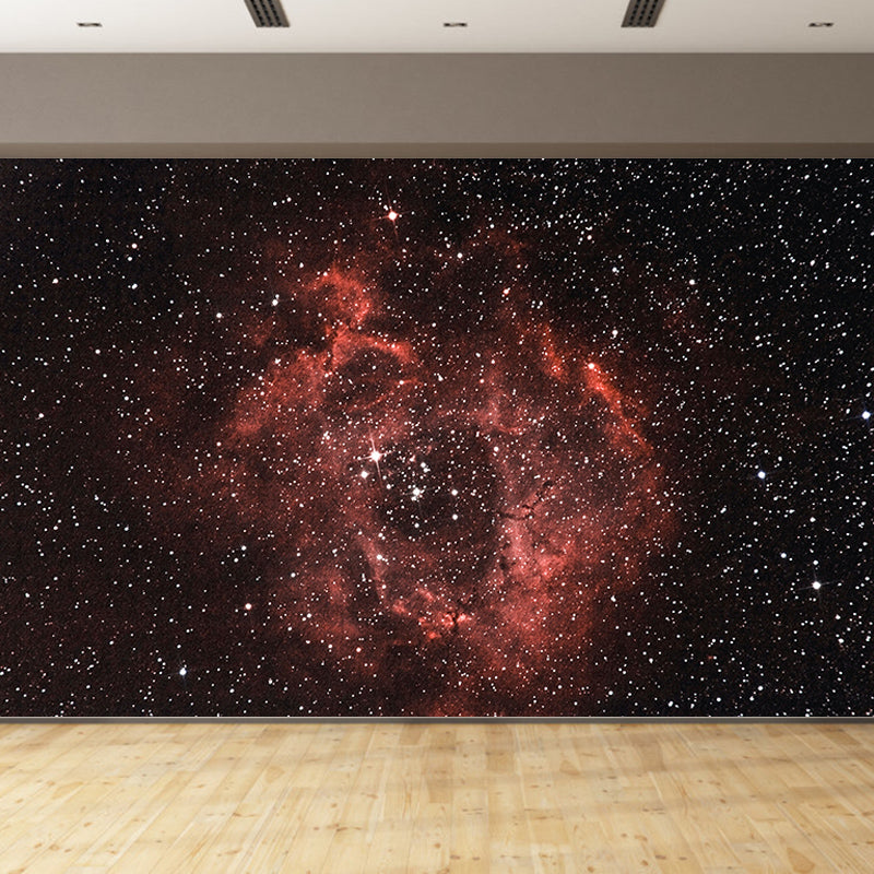 Modern Style Photography Wall Mural Wallpaper Cosmos Bedroom Wall Mural