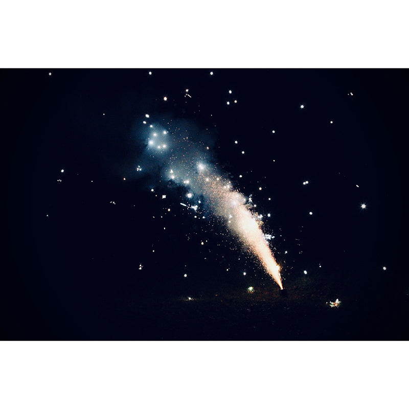 Photography Stain Resistant Mural Wallpaper Cosmos Living Room Wall Mural