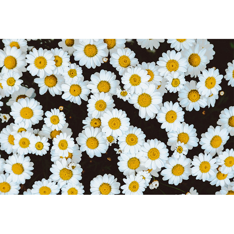 Washable Stain Resistant Mural Wallpaper Beautiful Flowers Indoor Wall Mural