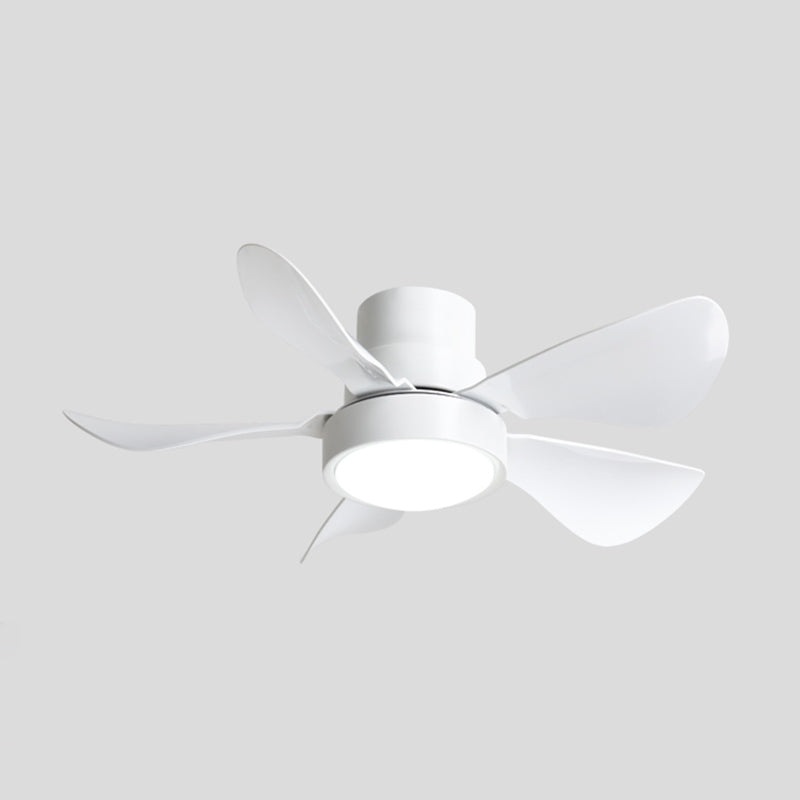 Ceiling Fan Light Simple-Style LED Metal Ceiling Flush Mount Light