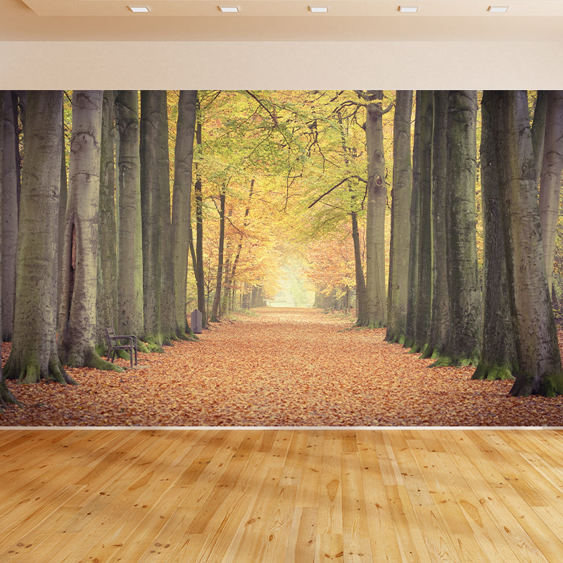 Photography Wall Mural Wallpaper Outdoor Path Sitting Room Wall Mural