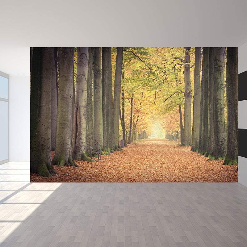 Photography Wall Mural Wallpaper Outdoor Path Sitting Room Wall Mural