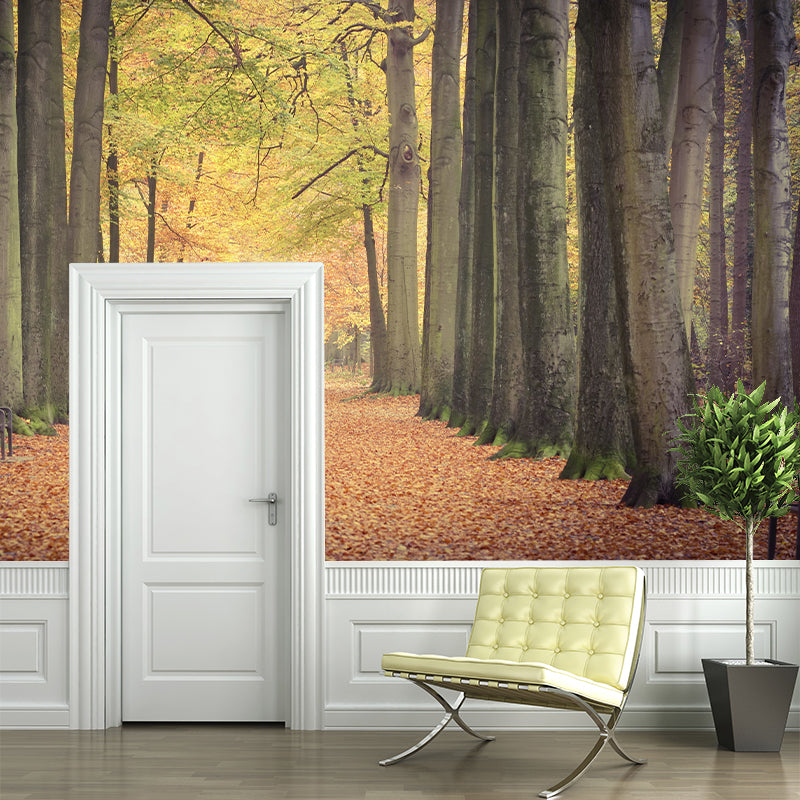 Photography Wall Mural Wallpaper Outdoor Path Sitting Room Wall Mural