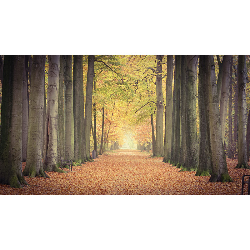 Photography Wall Mural Wallpaper Outdoor Path Sitting Room Wall Mural