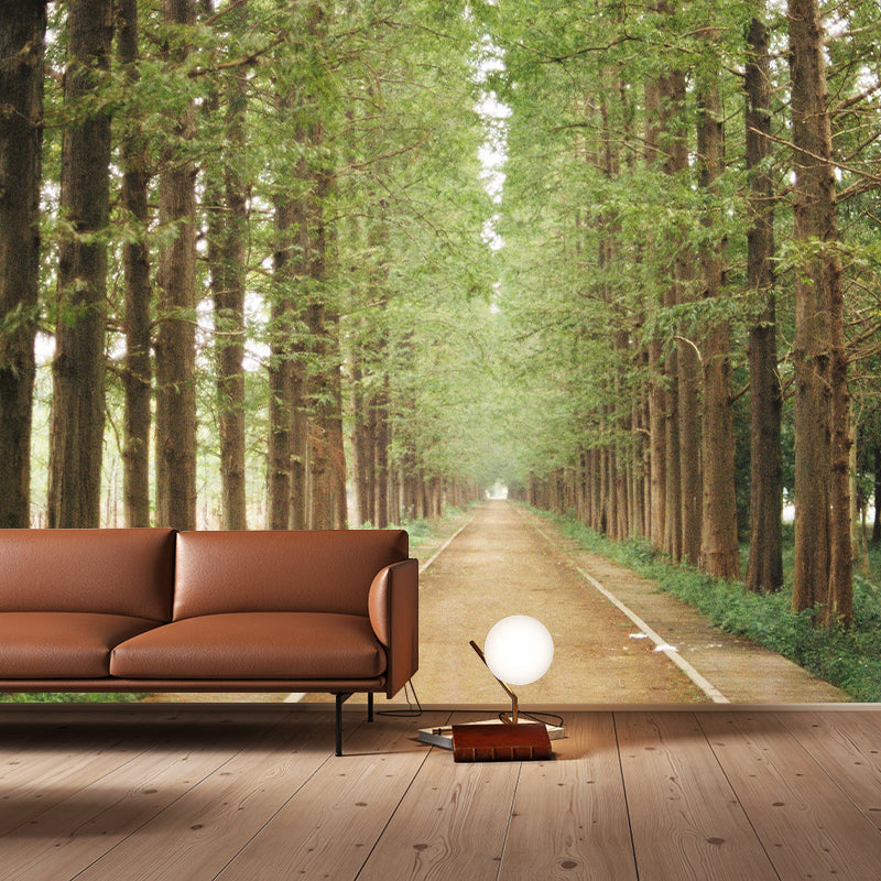 Photography Wall Mural Wallpaper Outdoor Path Sitting Room Wall Mural