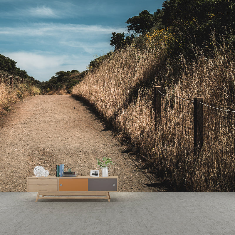 Modern Style Wall Mural Wallpaper Outdoor Path Living Room Wall Mural