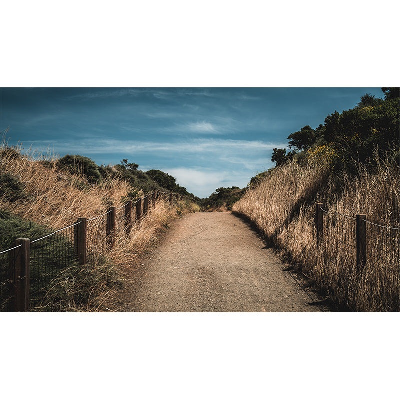 Modern Style Wall Mural Wallpaper Outdoor Path Living Room Wall Mural