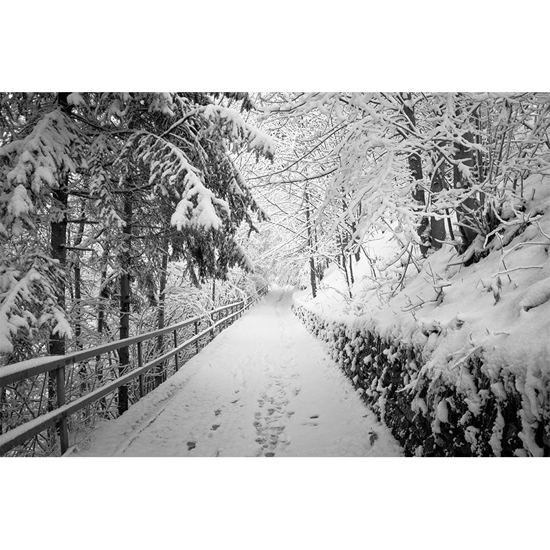 Environment Friendly Resistant Mural Wallpaper Outdoor Path Sleeping Room Wall Mural