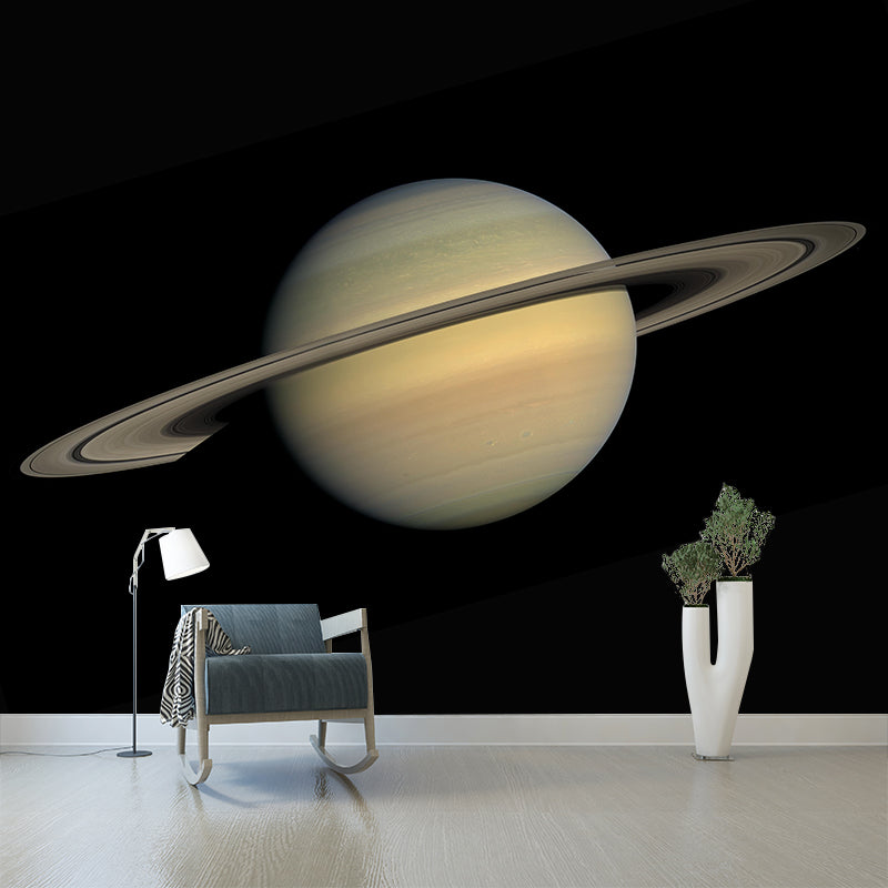 Modern Style Photography Mural Wallpaper Moon Indoor Wall Mural