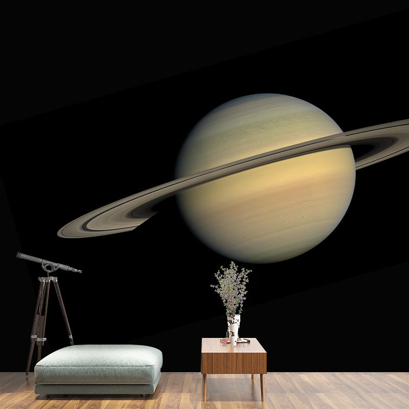 Modern Style Photography Mural Wallpaper Moon Indoor Wall Mural