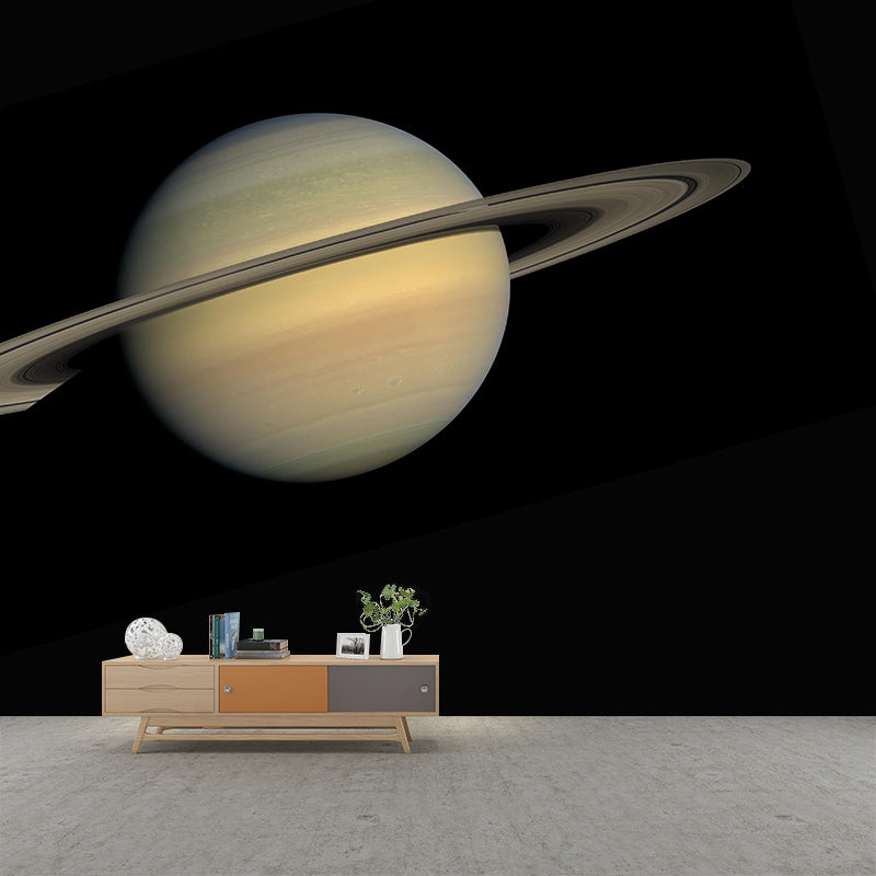 Modern Style Photography Mural Wallpaper Moon Indoor Wall Mural