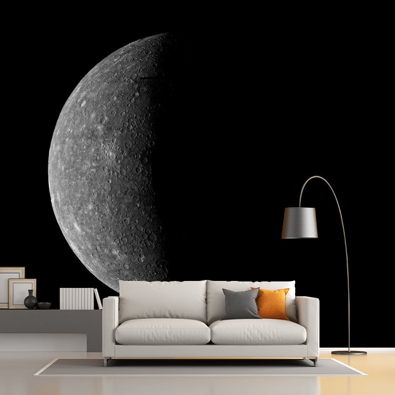 Modern Style Photography Mural Wallpaper Moon Indoor Wall Mural