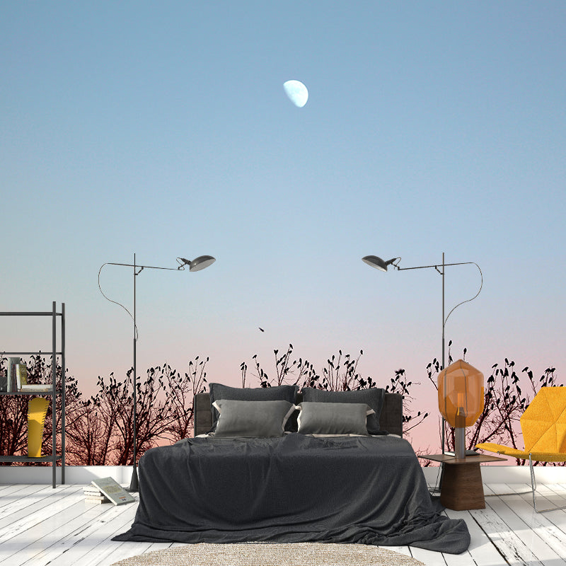 Modern Style Mural Wallpaper Dreamy Sky Environment Friendly Bedroom Wall Mural