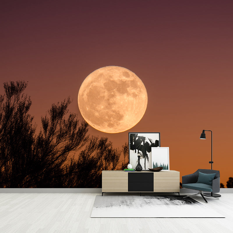 Dreamy Sky Photography Mildew Resistant Wallpaper Environmental Sleeping Room Wall Mural