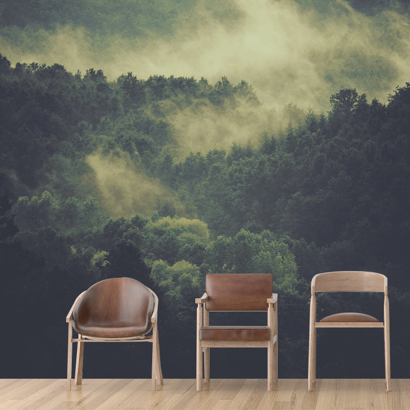 Modern Style Photography Wall Mural Wallpaper Forest Bedroom Wall Mural