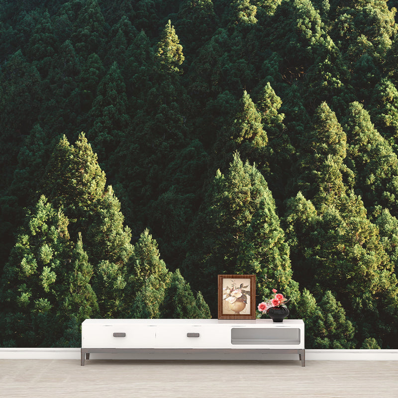 Washable Photography Mural Wallpaper Woods Landscape Indoor Wall Mural