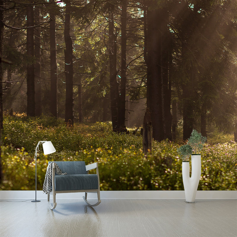 Woods Stain Resistant Wall Mural Washable Wallpaper Sitting Room Wall Mural