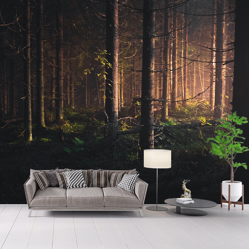 Woods Stain Resistant Wall Mural Washable Wallpaper Sitting Room Wall Mural