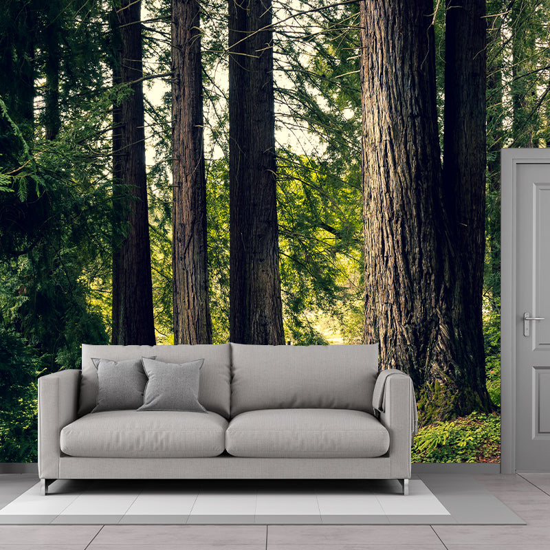 Woods Stain Resistant Wall Mural Washable Wallpaper Sitting Room Wall Mural