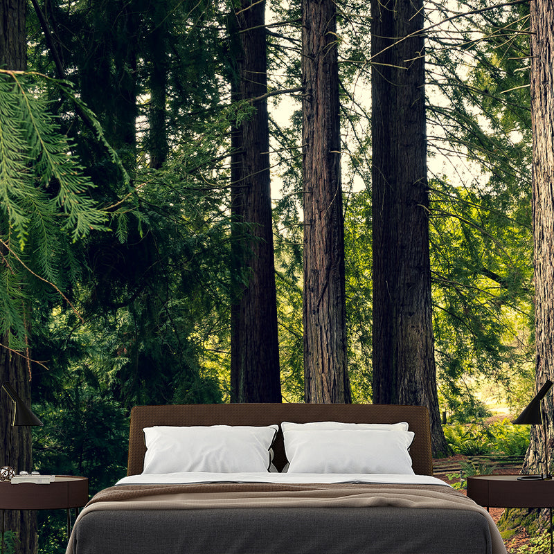 Woods Stain Resistant Wall Mural Washable Wallpaper Sitting Room Wall Mural