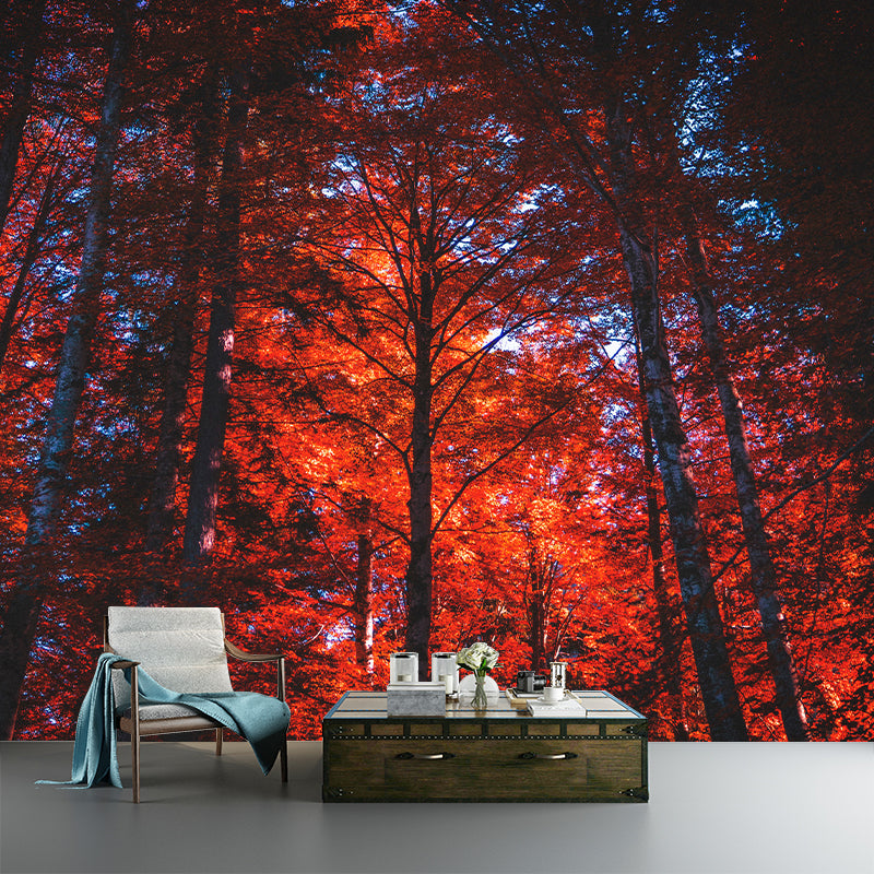 Photography Woods Mural Mildew Resistant Wallpaper Sleeping Room Wall Mural