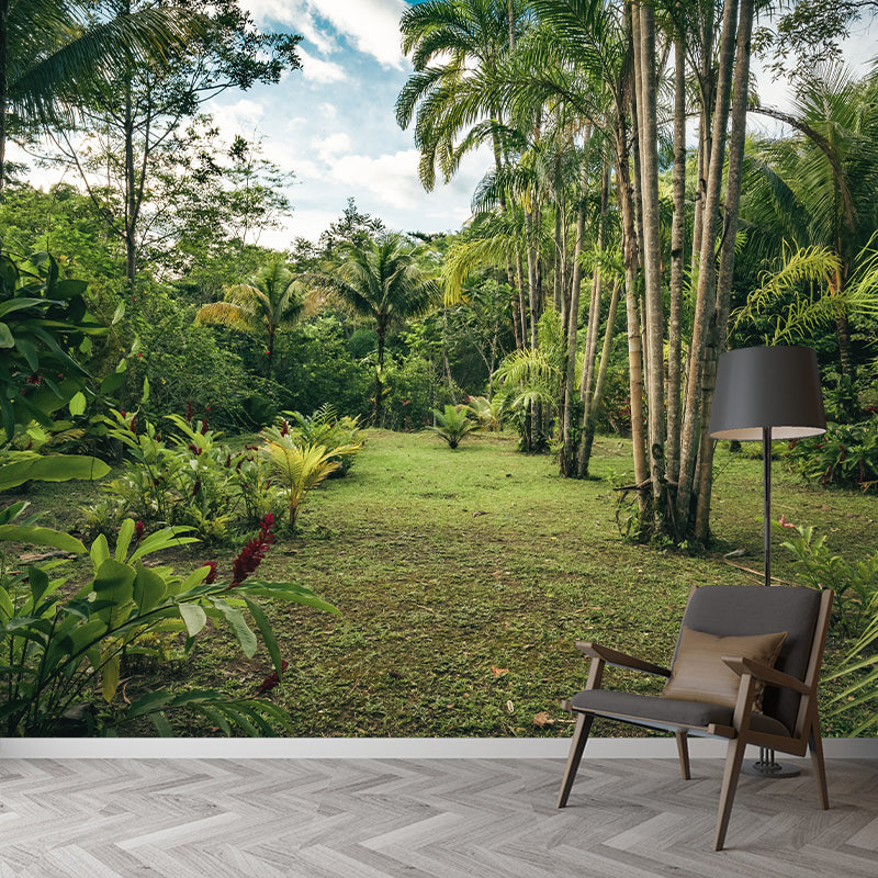 Photography Woods Mural Mildew Resistant Wallpaper Sleeping Room Wall Mural