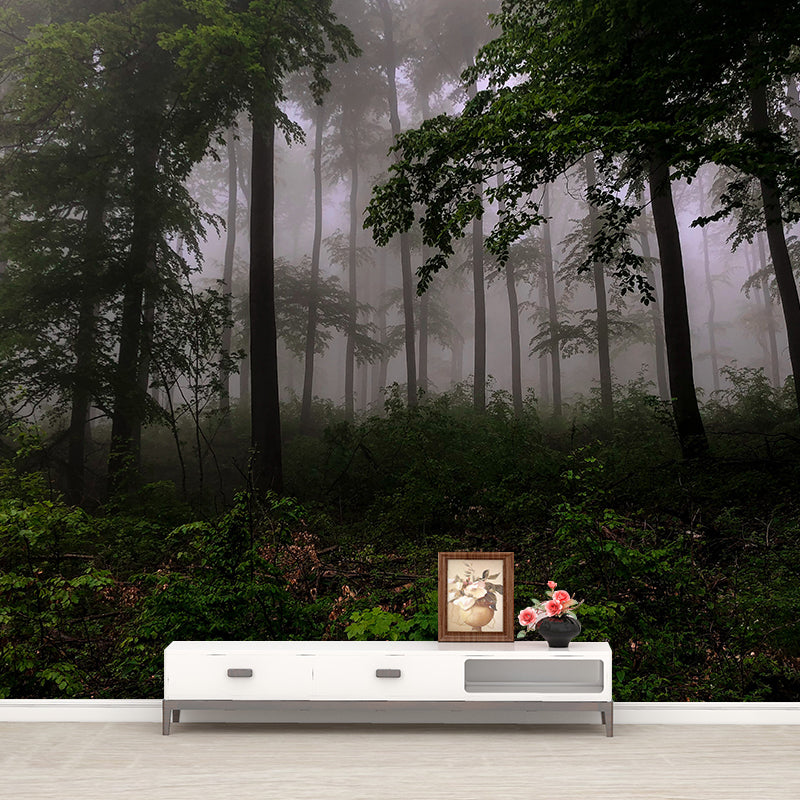Photography Woods Mural Mildew Resistant Wallpaper Sleeping Room Wall Mural