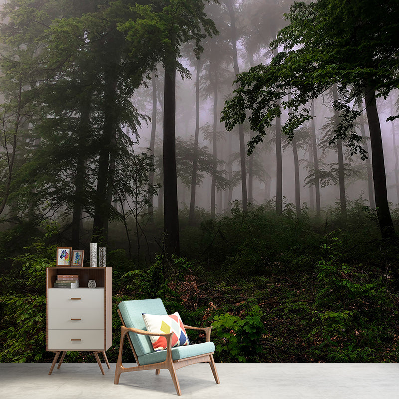 Photography Woods Mural Mildew Resistant Wallpaper Sleeping Room Wall Mural