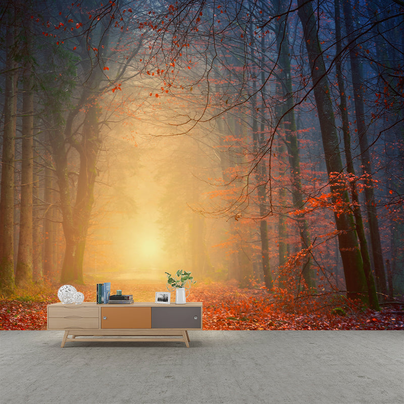 Beautiful Photography Mural Wallpaper Grove Decorative Indoor Wall Mural